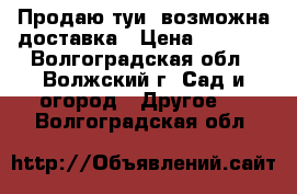 Продаю туи, возможна доставка › Цена ­ 1 000 - Волгоградская обл., Волжский г. Сад и огород » Другое   . Волгоградская обл.